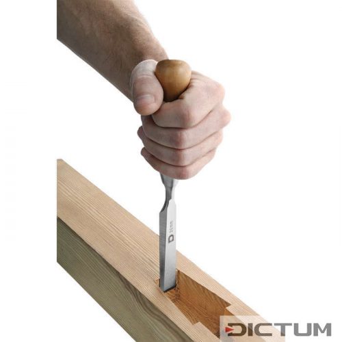 HOUTBEITEL DICK KORT